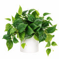Plante artificielle verte avec feuillage réaliste, hauteur 60 cm