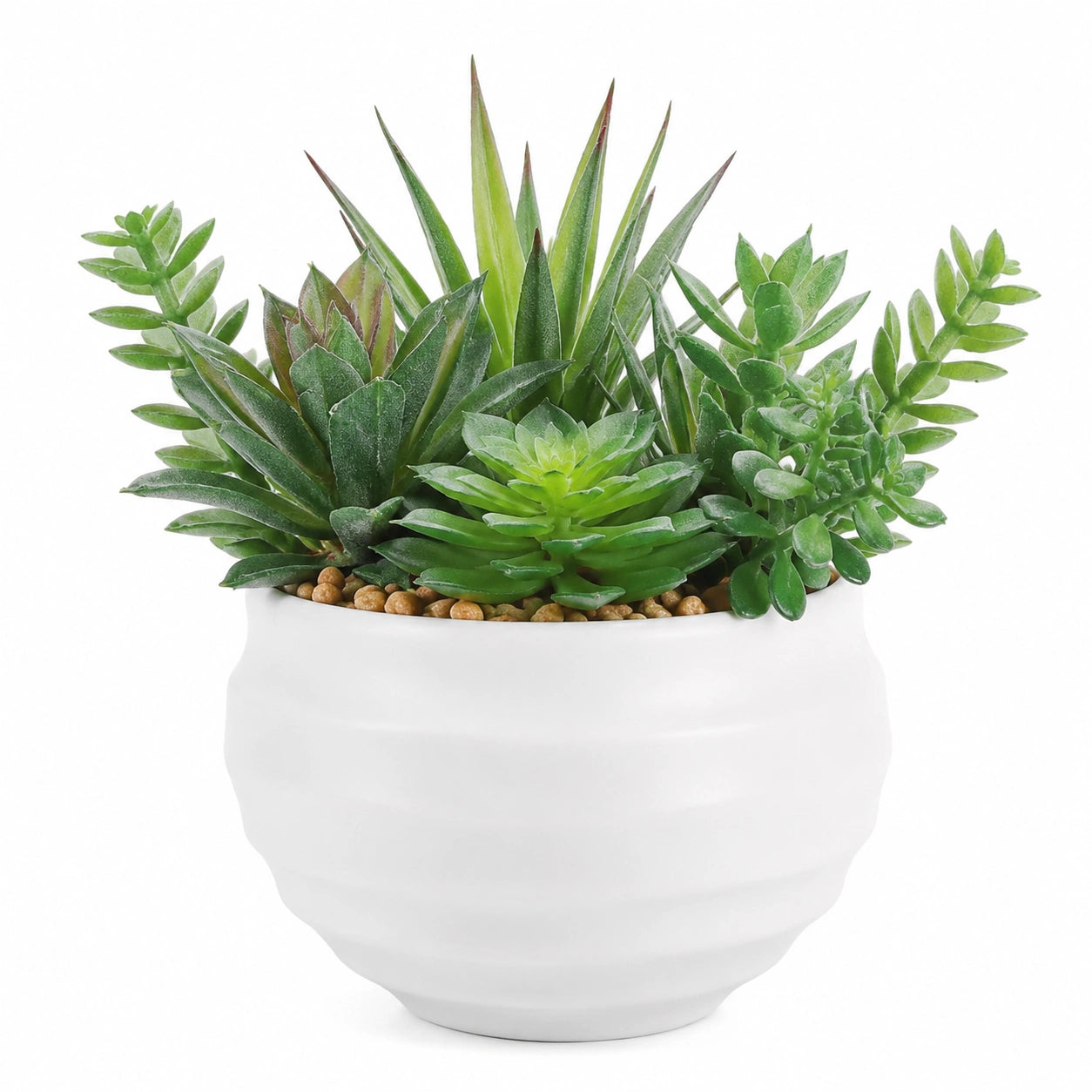 Plante Grasse Artificielle en Pot Blanc