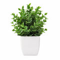 Plante artificielle décorative en pot blanc
