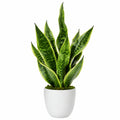 Plante artificielle Sansevieria verte avec pot en céramique blanc