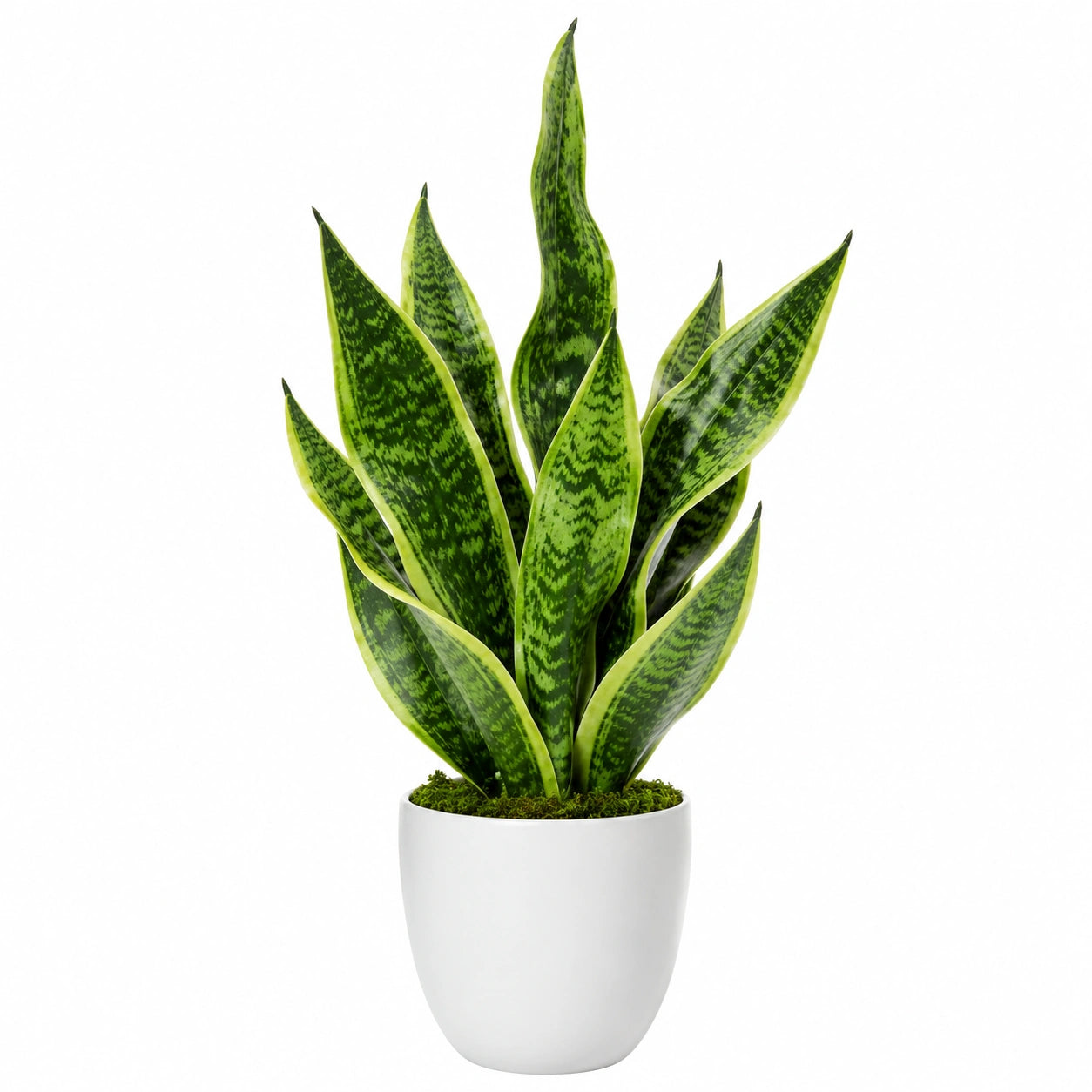 Plante artificielle Sansevieria verte avec pot en céramique blanc