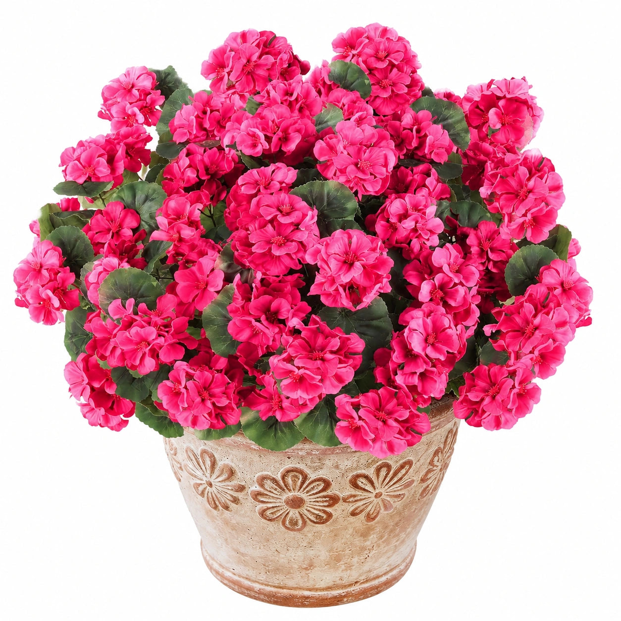 Pot de fleurs décoratif avec géraniums rose vif